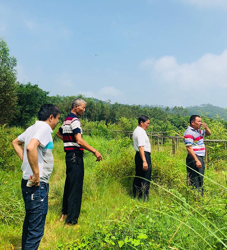 ng电子游戏·(中国区)官方网站