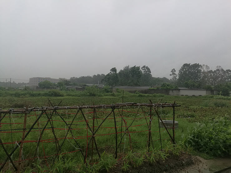 ng电子游戏·(中国区)官方网站