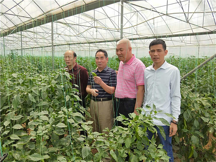 ng电子游戏·(中国区)官方网站