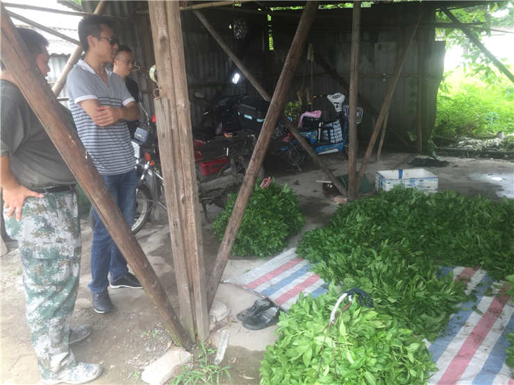 ng电子游戏·(中国区)官方网站