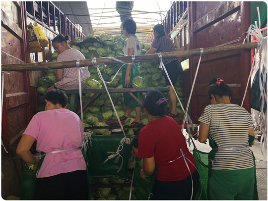 ng电子游戏·(中国区)官方网站