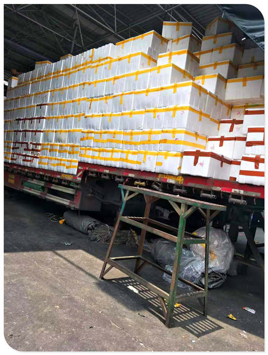 ng电子游戏·(中国区)官方网站