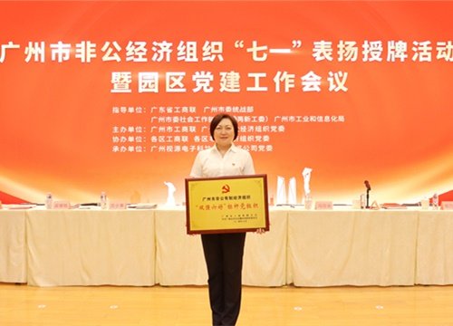 标杆引领，荣誉升级！集团党支部荣膺广州市非公有造经济组织“双强六好”标