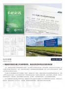 ng电子游戏简报2026第9期